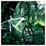 dunesolobici.jpg