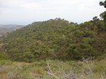 DSC00594.JPG