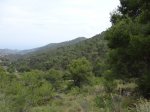 DSC00590.JPG