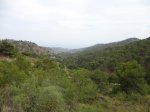 DSC00588.JPG