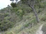 DSC00595.JPG