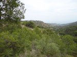DSC00589.JPG