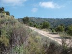 DSCF9342 [1].JPG