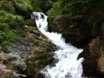 IMG_0319.jpg