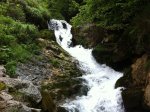 IMG_0320.jpg