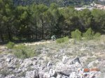 CIMG9565.jpg
