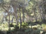 DSCF9391 [2].JPG