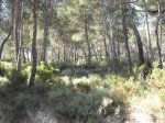 DSCF9389 [2].JPG