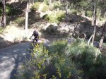 DSCF9382 [2].JPG