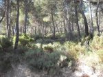 DSCF9385 [2].JPG