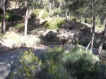 DSCF9378 [2].JPG