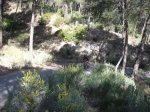 DSCF9374 [2].JPG