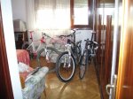 DSC05682.JPG