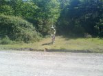 29052011659_800x600.jpg