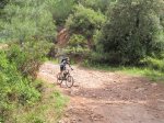 IMG_1197.JPG