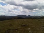 IMG00566-20110528-1259.jpg