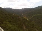 IMG00571-20110528-1400.jpg
