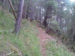 IMG00572-20110528-1405.jpg