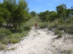 DSC00617.JPG
