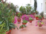 Patio (Small).JPG