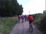 DSC00794.jpg