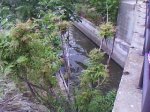 DSC00801.jpg