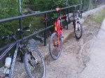 DSC00799.jpg