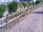 DSC00797.jpg