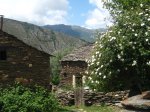 IMG_1735.JPG