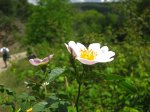 IMG_1724.JPG