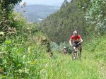 P5290057 (Copiar).JPG