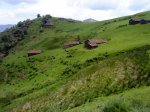 DSC04176.JPG