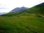 DSC04185.JPG