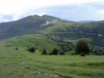 DSC04214.JPG