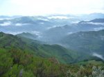 P1040953_800x600.jpg