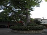 DSCN0751.jpg