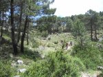 DSCN0915.jpg