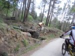 DSCN0828.jpg