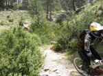 DSCN0917.jpg