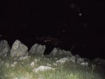 DSCN0869.jpg