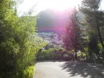 DSCN0773.jpg