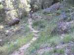 DSCN0798.jpg