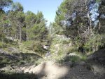 DSCN0797.jpg