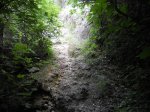 DSCN0822.jpg