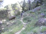 DSCN0796.jpg