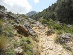 DSCN0929.jpg