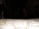 DSCN0768.jpg