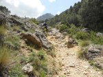 DSCN0930.jpg
