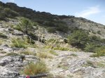 DSCN0933.jpg