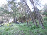 DSCN0787.jpg